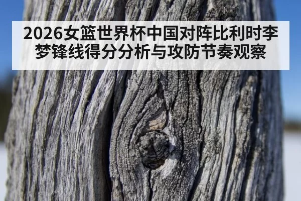 2026女篮世界杯中国对阵比利时李梦锋线得分分析与攻防节奏观察